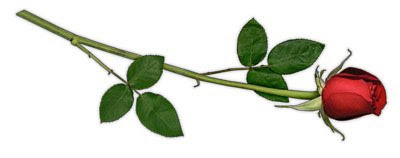 The Dignity of Work – Part III                    The Power of&nbsp;Appreciation