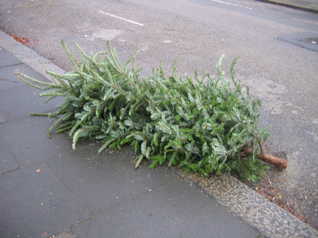 The Christmas Tree&nbsp;Fort